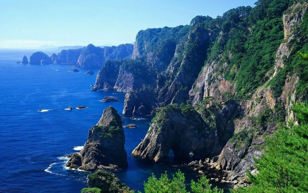 先进智能全自动